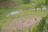 Лаклы