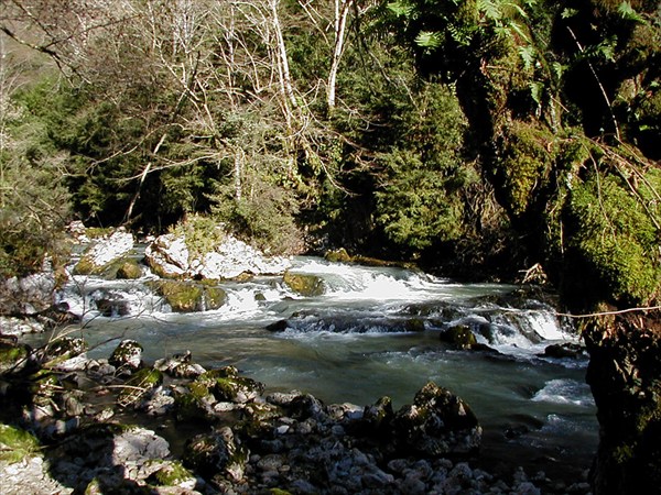 Мчишта. Вода высокая, но чистая
