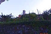DSC00462