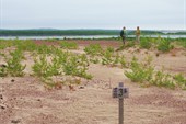 Попытка остановить пустыню