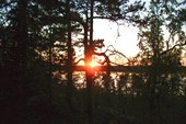 Без комментариев