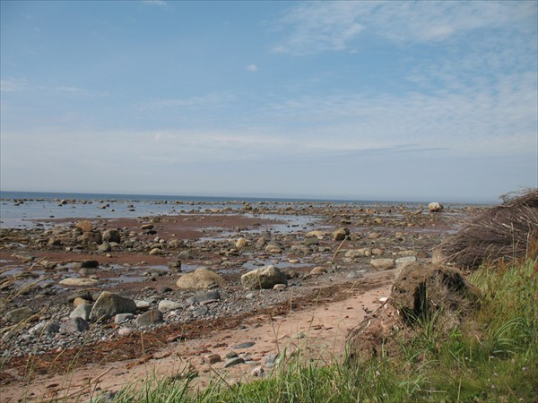 Отлив на Белом море