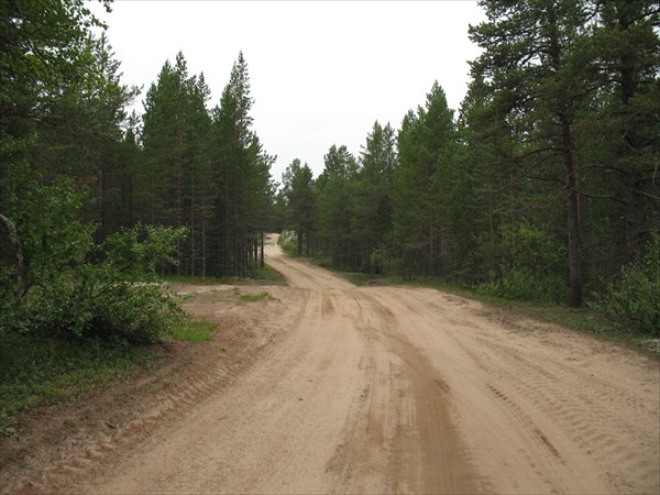 Начало дороги на Кузомень