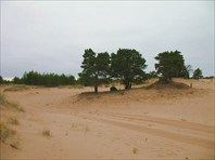 Дорога в дюнах северной пустыни
