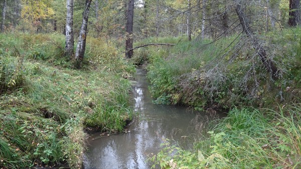 Река Бочаранка