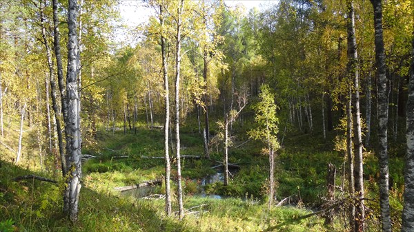 Бочаранка 2