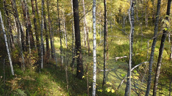 Бочаранка 3