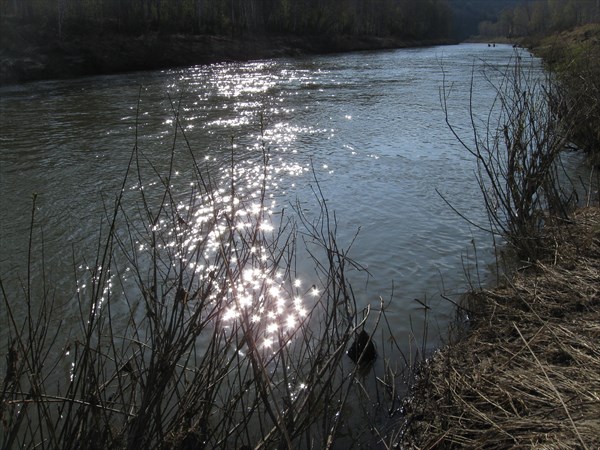 Звёздочки на воде