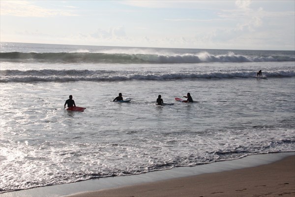 В океанских волнах только и учиться серфингу