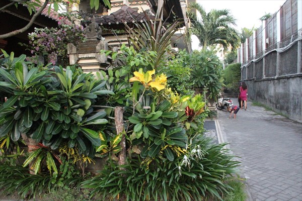 Bali_018