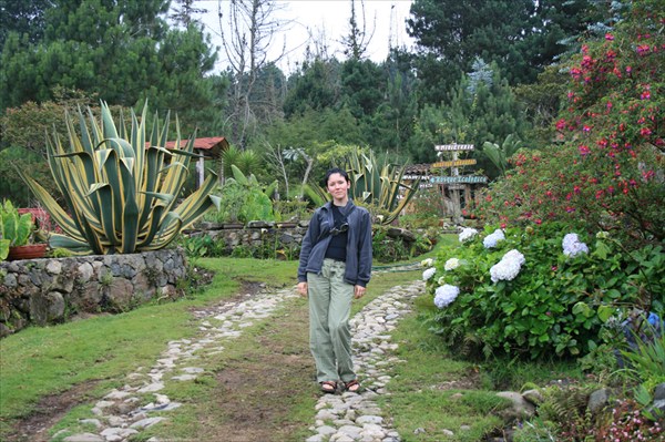 Это не Ботанический сад. Это форелевое хозяйство.