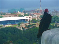 Вид на Гавану с высоты птичьего полета 