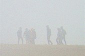 Ежики в тумане
