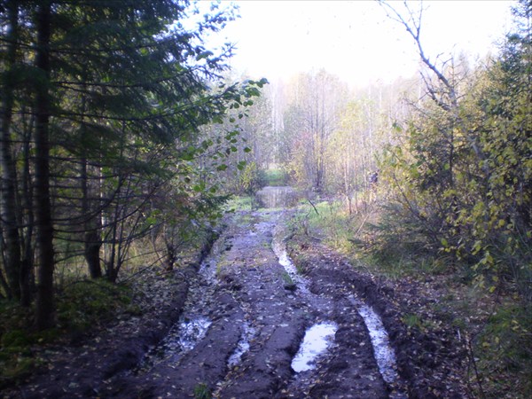 дорога в Веретьево, точнее дорога по болоту