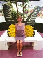 Музей бабочек рядом с городом Пхукет (Phuket Butterfly)