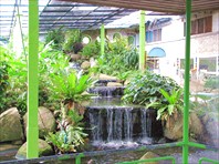 Музей бабочек рядом с городом Пхукет (Phuket Butterfly)