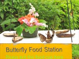 Музей бабочек рядом с городом Пхукет (Phuket Butterfly)