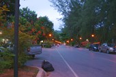 IMG_4551