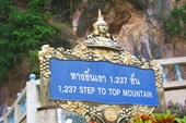 IMG_4568