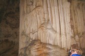 IMG_4724