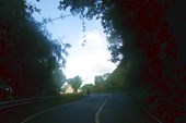 IMG_4759