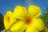 IMG_4762