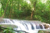 IMG_4770