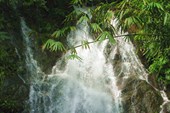 IMG_4784