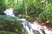 IMG_4793