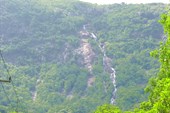IMG_4842