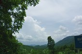 IMG_4883