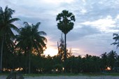 IMG_5009