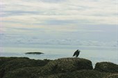 IMG_5124