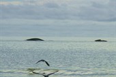 IMG_5129