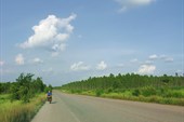 IMG_5280