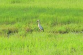 IMG_5281