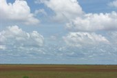 IMG_5350