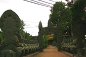 IMG_5357