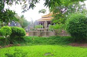 IMG_5360