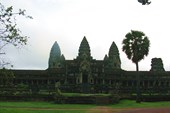 IMG_5445
