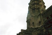 IMG_5453