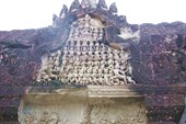 IMG_5462