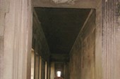 IMG_5463