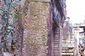 IMG_5484