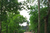IMG_5544