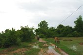 IMG_5549