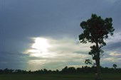 IMG_5558