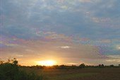 IMG_5603