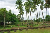 IMG_5653