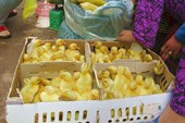 IMG_5794